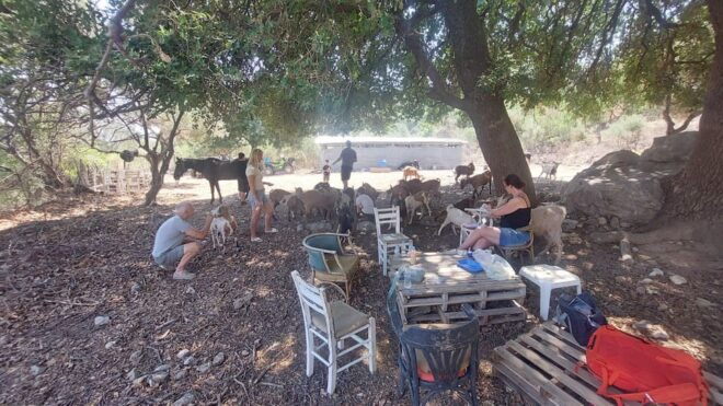 CRETE : QUADS TOURS ECO FRIENDLY ADVENTURE - HIGH PERF - Skill Levels and Customization