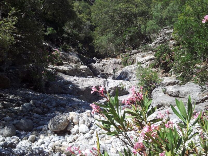 Crete: Richtis Waterfall Full-Day Tour with Olive Tasting - FAQ