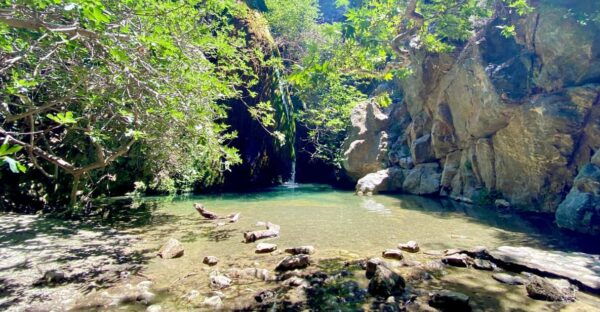 Crete: Richtis Waterfall Hiking Tour - Customer Feedback