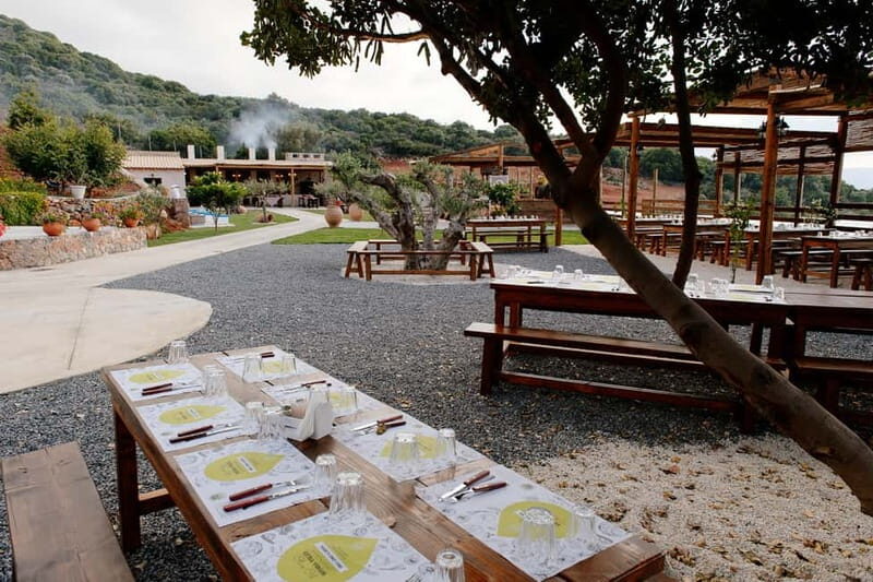 Crete: Road-trip to Lasithi Plateau & Olive Mill Farm - An Overview of the Experience