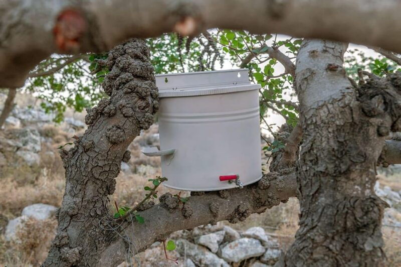 Crete Rodakino: Sleep under the stars - Good To Know