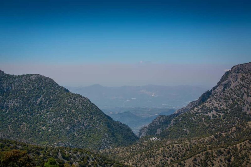 Crete: Rouvas Forest Truffle Hunt and Beekeeping Experience - Final Thoughts