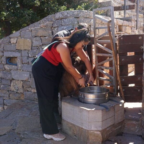 Crete: Shepherd'S Life & Psiloritis Mountain Tour With Meal - The Sum Up