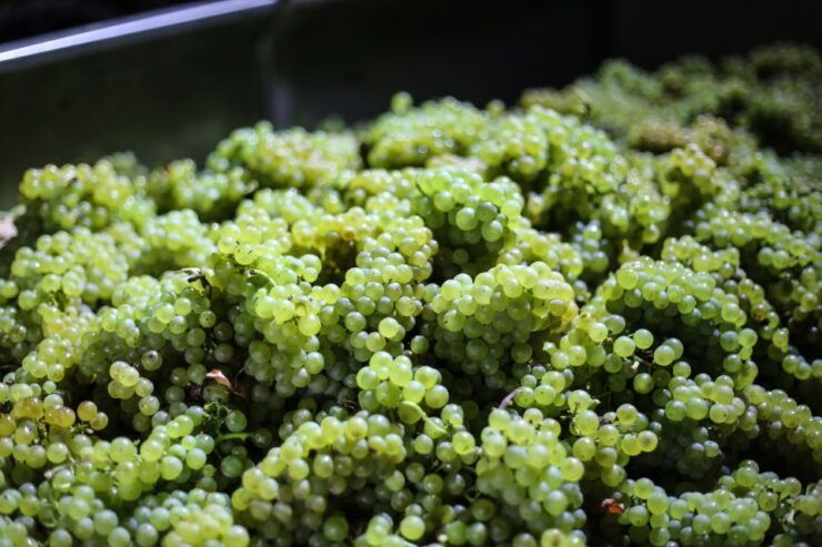 Crete: Small Group Olive Oil, Cretan Wine, Raki Tour & Lunch - Tour Highlights