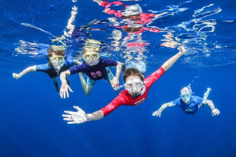 Crete: Snorkel Cretes Hidden Coves by Boat - Who Should Consider This Tour?