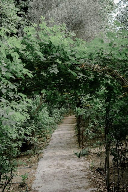 Crete: Uncover the Secrets of Spili Village - Inclusions and Exclusions