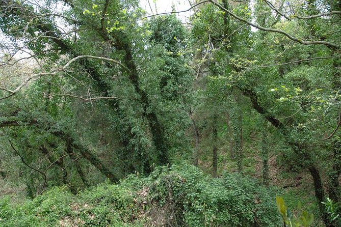 Crete Village Tour - Directions