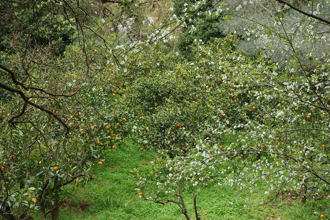 Crete Village Tour - The Sum Up