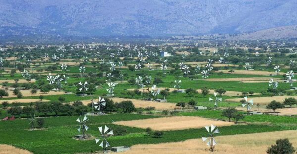 Crete, Visit Cave of Zeus, Taste 0live Oil and Cretan Food - Booking Information