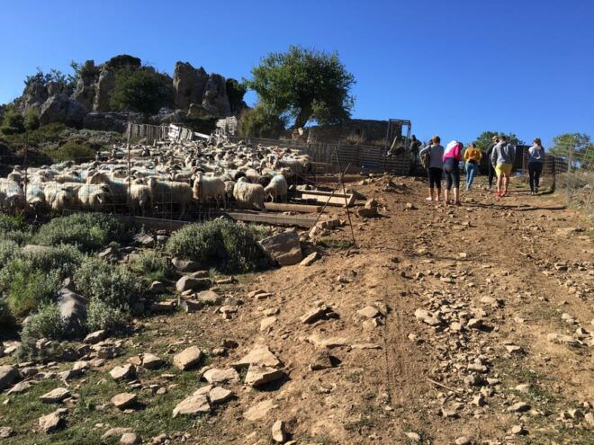 Crete: White Mountains Preserve Day Tour - Important Information