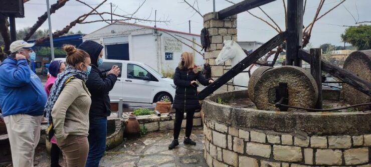 Crete: Wine and Olive Oil Tasting - Tour Details