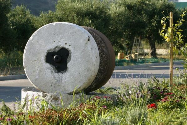 Crete: Wine and Olive Oil Tasting - Tips