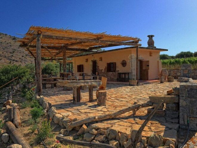 Crete:Olive Oil Tasting ,Wine, Raki, and Cretan Food! - Customer Reviews