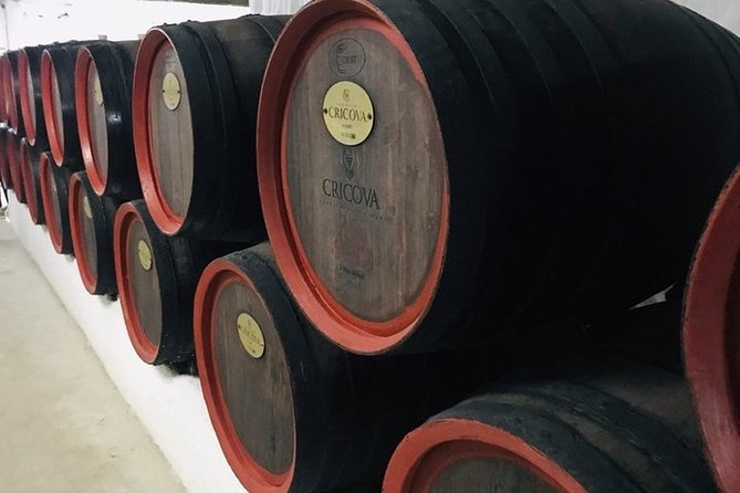 Cricova Winery & SPA Visit - Visit Details