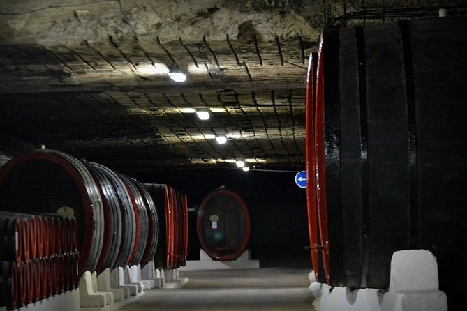 Cricova Winery & SPA Visit - Experience Highlights