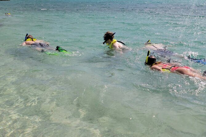 Cristal Speed boat, Snorkeling, Beach Tour & Lunch St Maarten - The Experience: A Deep Dive