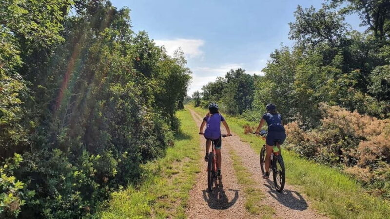 Croatia, Istria: 7-Day Premium Cycling & Gourmet E-Bike Tour - Good To Know