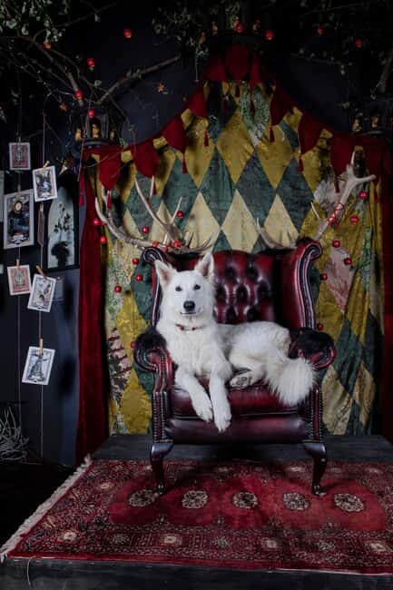 Croatia: Museum of Lost Tales - A Detailed Exploration of the Museum of Lost Tales