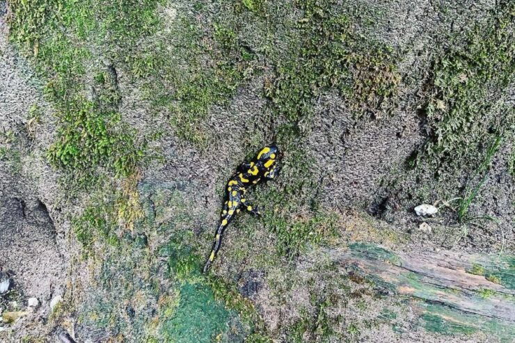 Croatia: Plitvice Lakes Private Tour With Hotel Pickup - Booking Details