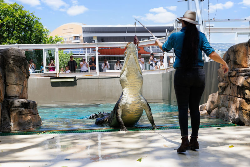 Croc and Darwin Ticket - Key points to know before you book