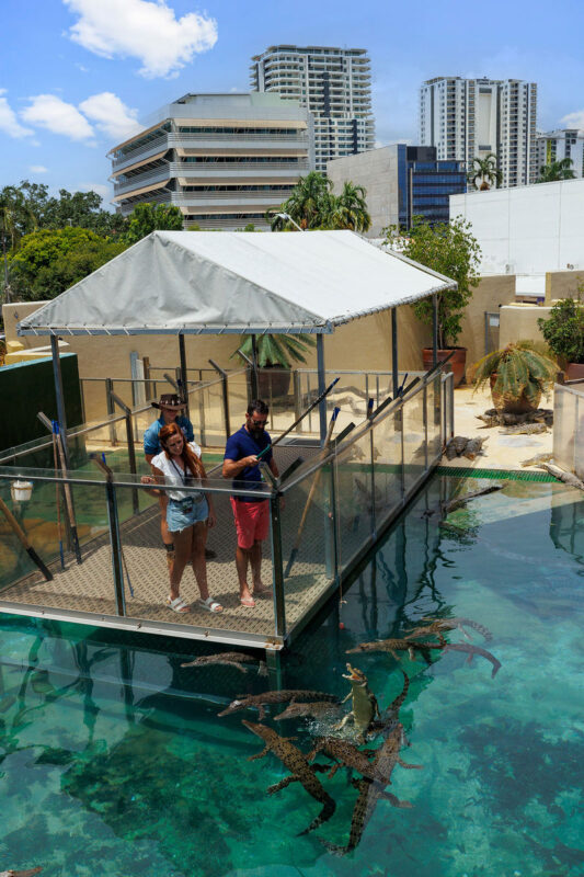 Croc and Darwin Ticket - Should you book the Croc and Darwin Ticket?