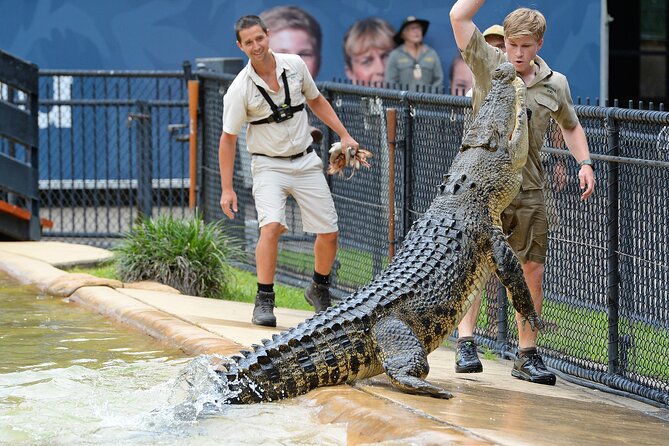 Croc Express to Australia Zoo From Gold Coast - Cancellation Policy and Refunds
