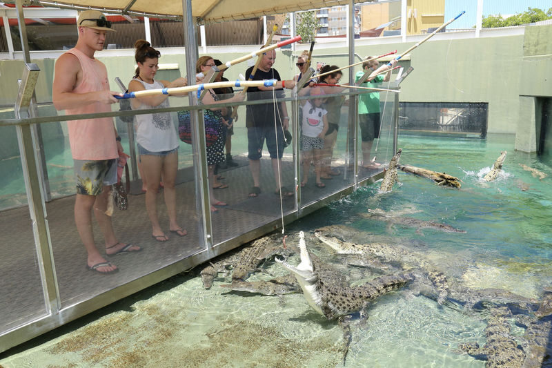 Croc N History Ticket at the Crocosaurus Cove in Darwin - See the city from the Darwin Explorer