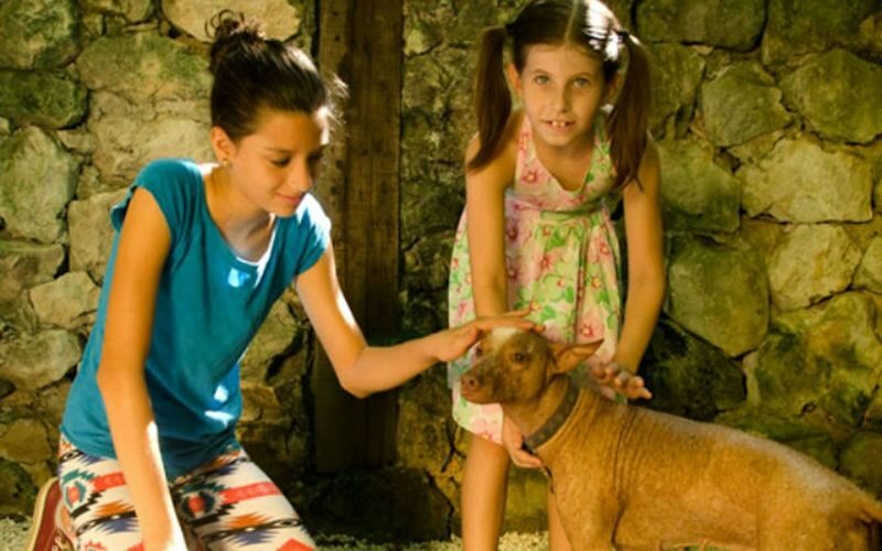 Croco Cun Zoo Ticket in Cancun - Why the zoologist guide matters
