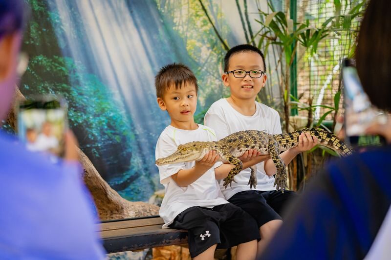 Crocodile Adventureland Langkawi Ticket - A close look at Langkawi’s crocodiles