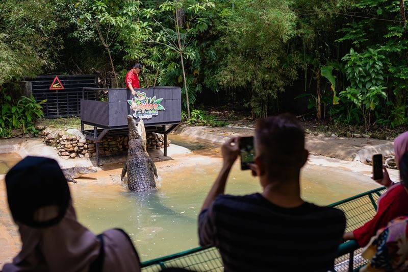 Crocodile Adventureland Langkawi Ticket - How long to allow, and what to bring