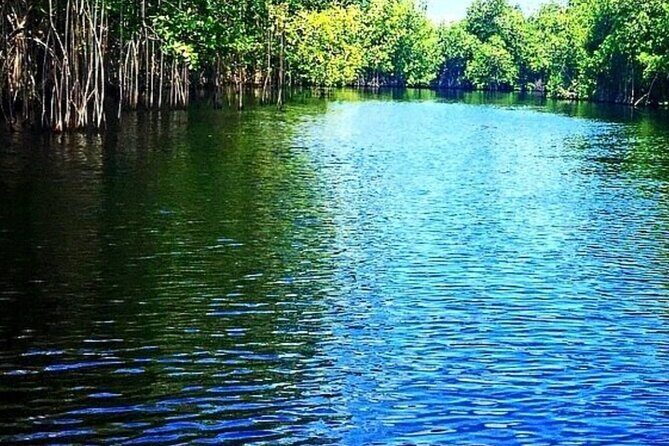 Crocodile Safari/Pelican Bar Combo. - FAQ