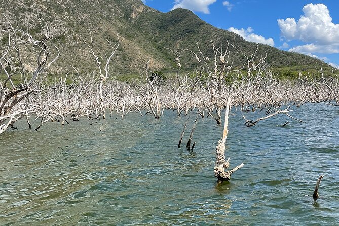Crocodile Watching in Lago Enrriquillo, ALL INCLUSIVE - Pickup Details for Crocodile Watching Tour