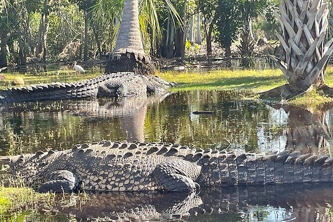 Crocodiles and Turtles Ecological Tour - Exploring the Itinerary in Detail  