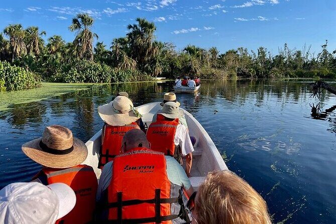 Crocodiles and Turtles Ecological Tour - What We Love About This Tour  