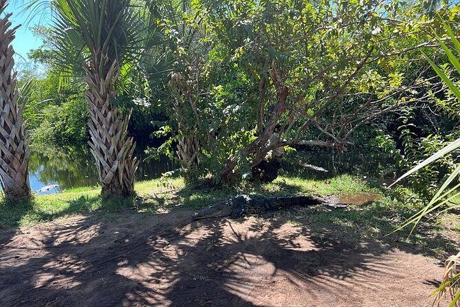 Crocodiles and Turtles Ecological Tour - FAQ  