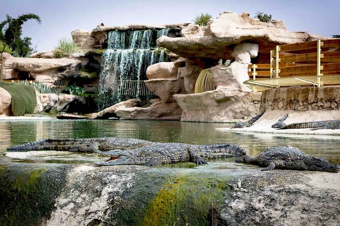 Crocoparc Tour From Agadir & Taghazout Tickets - Pricing and Value