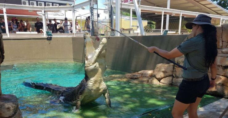 Crocosaurus Cove General Admission Ticket - Ticket Information