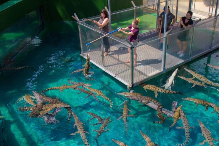 Crocosaurus Cove General Admission Ticket - Important Details