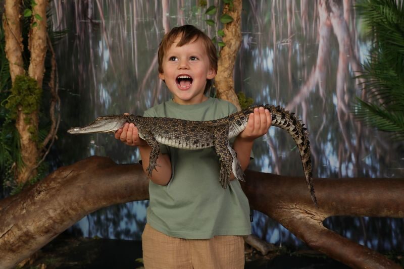 Crocosaurus Cove Ticket - Hands-On Activities and the Cage of Death