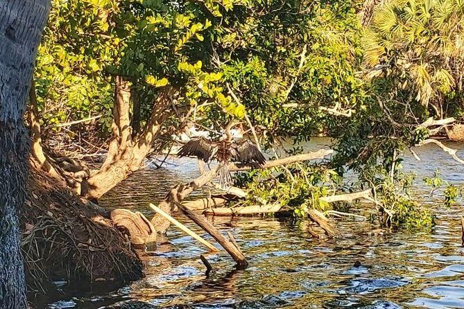 Croc´s & Turtle Aquarium - What to Expect and Tips for a Smooth Experience