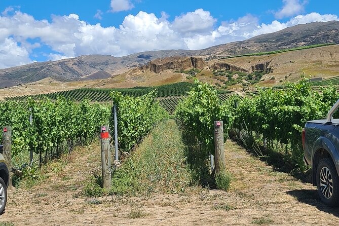 Cromwell Wine Tasting Tour Using Classic Car - Traveler Experience