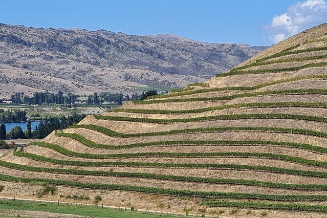 Cromwell Wine Tasting Tour Using Classic Car - Tour Itinerary