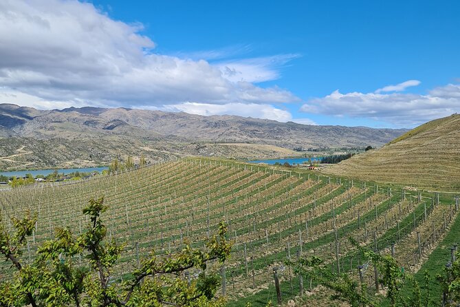 Cromwell Wine Tasting Tour Using Classic Car - Common Questions