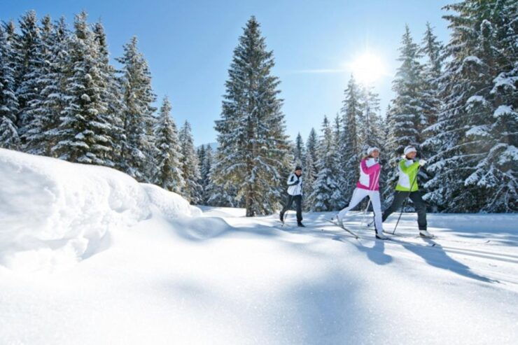 Cross Country Skiing Lessons for Beginners (Feldberg) - Small Groups