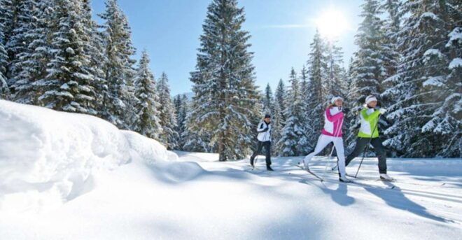 Cross Country Skiing Lessons for Beginners (Feldberg) - Guaranteed Snow