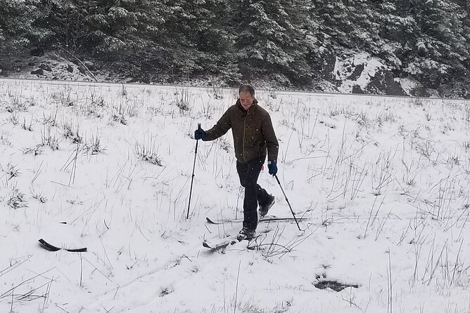 Cross Country (XC) Ski Rental - Rental Options and Availability