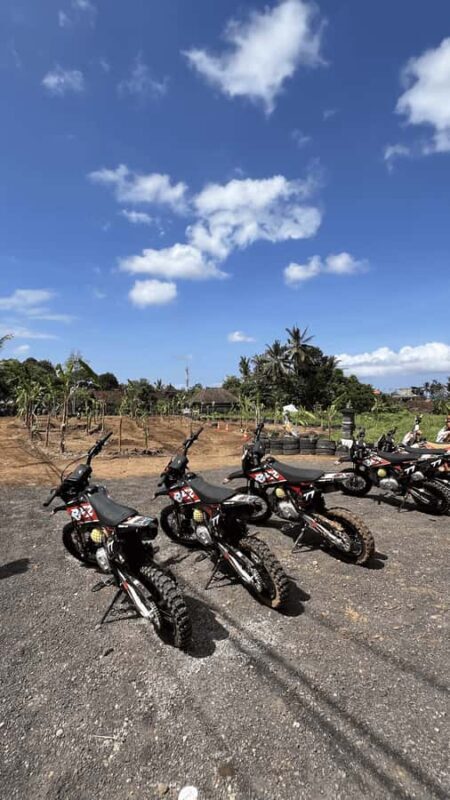 Cross Kids Bali - The Sum Up