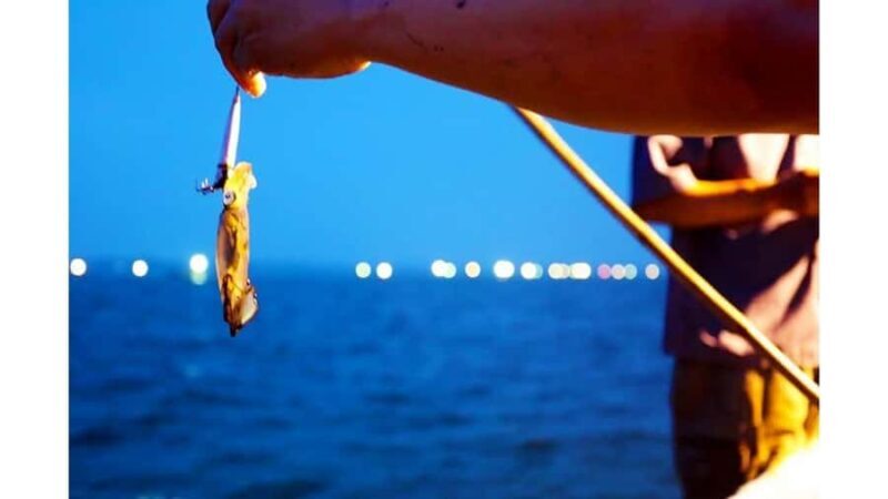 Crossing: Sunset Boat Trip with Squid Fishing - Who Will Love This Experience?