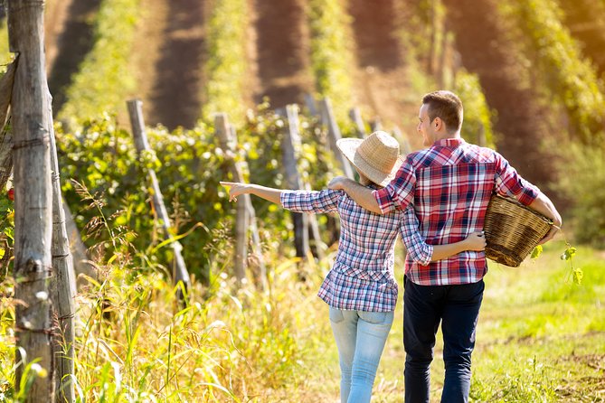 Crossing the Gorge of Vouraikos -Private Food, Wine, Culture Tour in Achaia - Common Questions