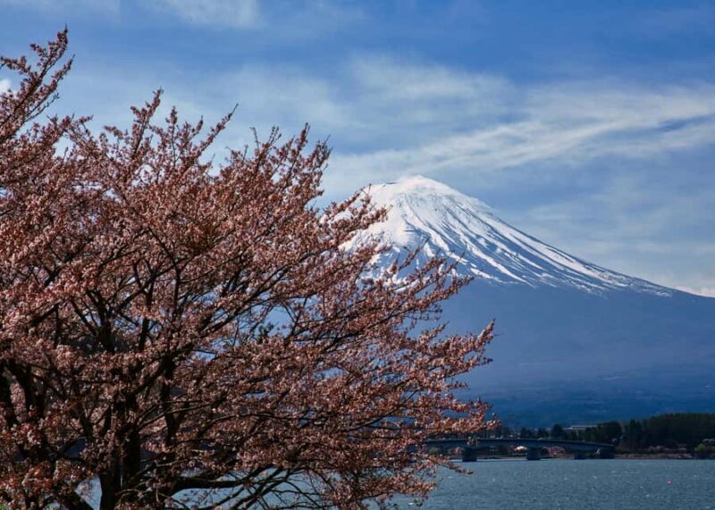 Crowd-Free Hidden Spots - Mt.Fuji Private Luxurious Car Tour - Why This Tour Is a Strong Choice